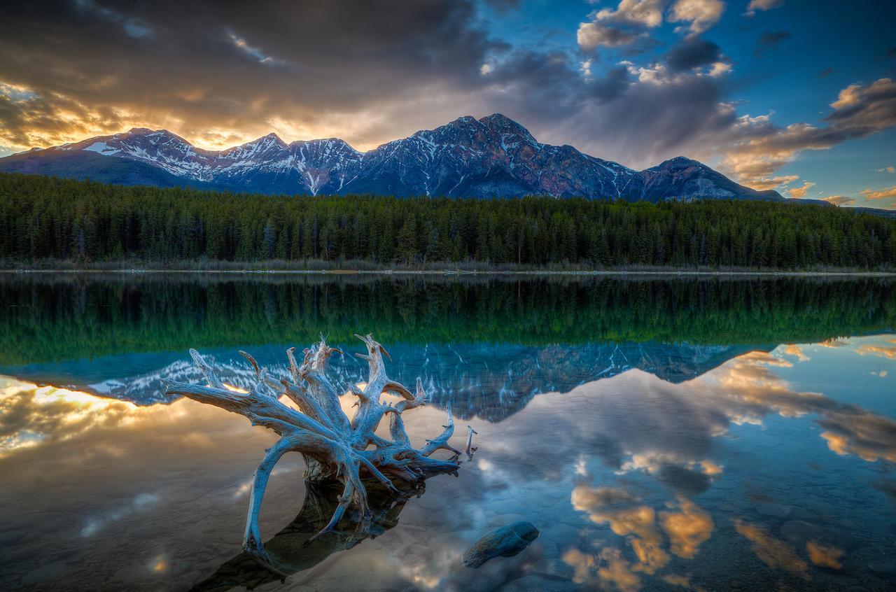 Patricia Lake Bungalows Jasper Exterior foto